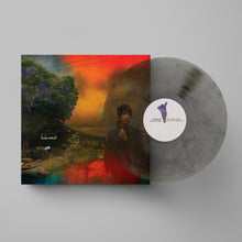 Load image into Gallery viewer, Sharon Van Etten - We've Been Going About This All Wrong