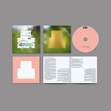 Load image into Gallery viewer, Spiritualized - Everything Was Beautiful