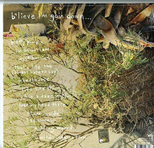 Load image into Gallery viewer, Kurt Vile - B'lieve Im Going Down