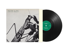 Load image into Gallery viewer, Courtney Barnett - Creature Of Habit
