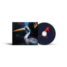 Load image into Gallery viewer, Antony Szmierek - Decoding Birdsong

