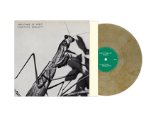 Load image into Gallery viewer, Courtney Barnett - Creature Of Habit
