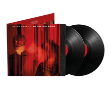 Load image into Gallery viewer, Peter Gabriel - In The Big Room
