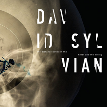 Load image into Gallery viewer, David Sylvian - The Distance Between The Killer And The Killing

