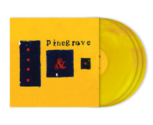 Load image into Gallery viewer, Pinegrove - Everything So Far ( 11th Anniversary Edition )
