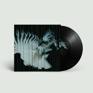 Scaler - Endlessly