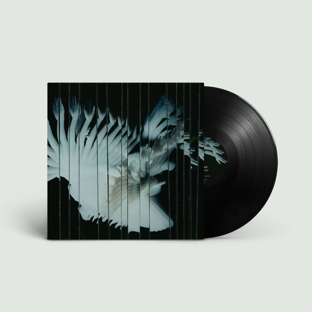 Scaler - Endlessly