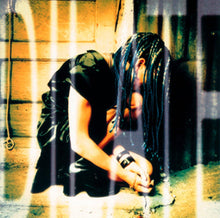 Load image into Gallery viewer, Ani DiFranco
