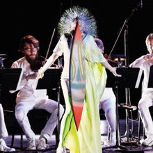 Load image into Gallery viewer, Bjork
