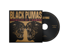 Load image into Gallery viewer, Black Pumas - Chronicles of a Diamond
