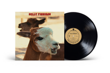 Load image into Gallery viewer, Kelly Finnigan - B Sides, Singles And Forgotten Gems
