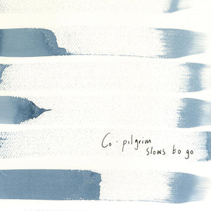 Co-Pilgrim