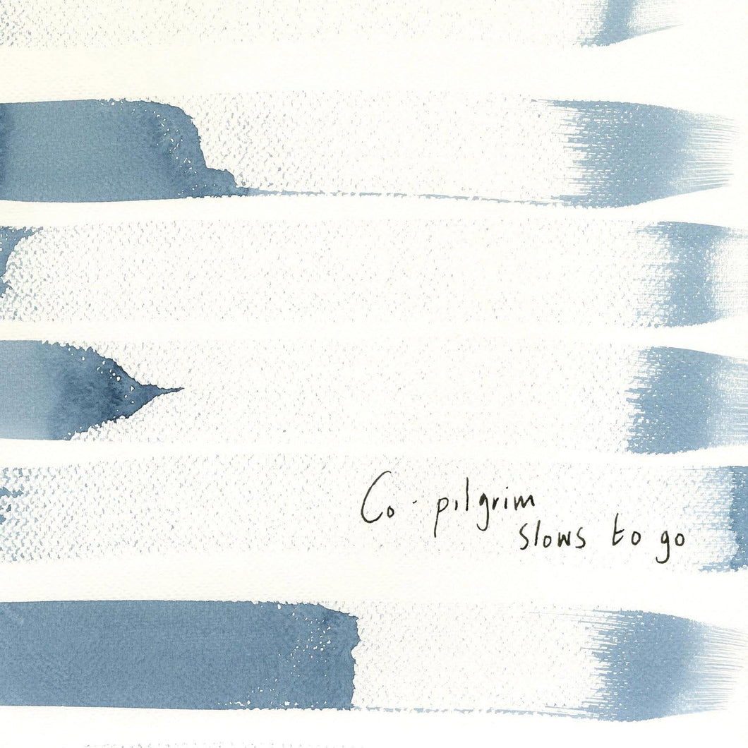 Co-Pilgrim