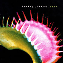 Load image into Gallery viewer, Cowboy Junkies

