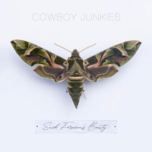 Load image into Gallery viewer, Cowboy Junkies
