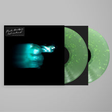 Load image into Gallery viewer, Phoebe Bridgers - Lost Weekend
