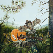 Load image into Gallery viewer, Dandy Warhols, The
