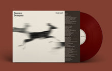 Load image into Gallery viewer, Damien Dempsey - Holywell
