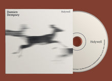 Load image into Gallery viewer, Damien Dempsey - Holywell
