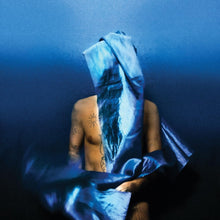 Load image into Gallery viewer, Devendra Banhart
