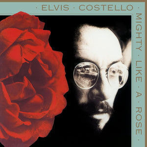 Elvis Costello