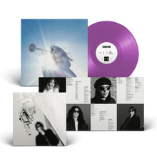 Load image into Gallery viewer, Geese - Getting Killed
