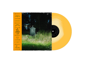 Frank Carter & The Rattlesnakes - Dark Rainbow