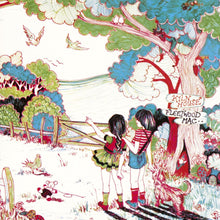 Load image into Gallery viewer, Fleetwood Mac
