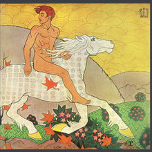 Load image into Gallery viewer, Fleetwood Mac
