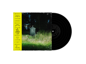 Frank Carter & The Rattlesnakes - Dark Rainbow