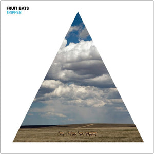 Fruit Bats
