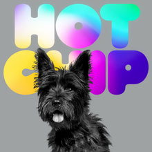 Load image into Gallery viewer, Hot Chip - A Long Way From Kansas
