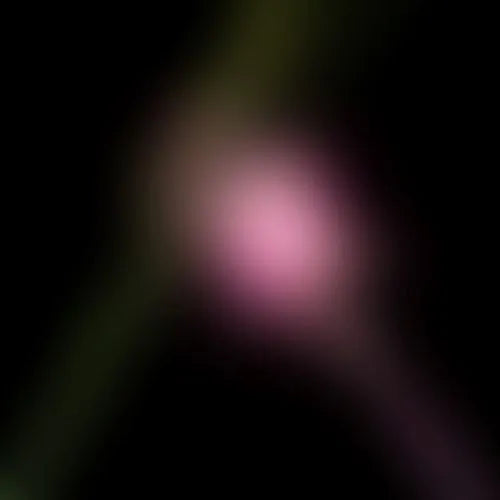 Various Artists - Wicked For Good : The Soundtrack