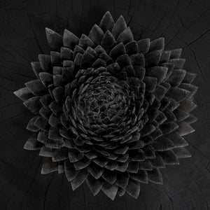 Jonsi - Obsidian