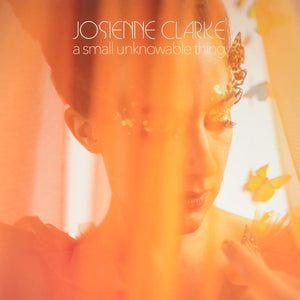 Josienne Clarke - A Small Unknowable Thing