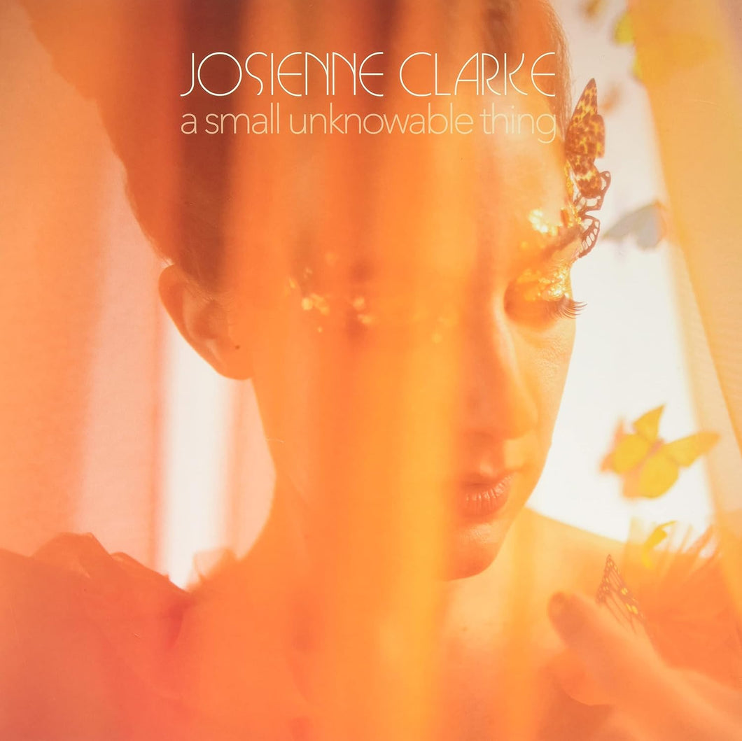 Josienne Clarke - A Small Unknowable Thing
