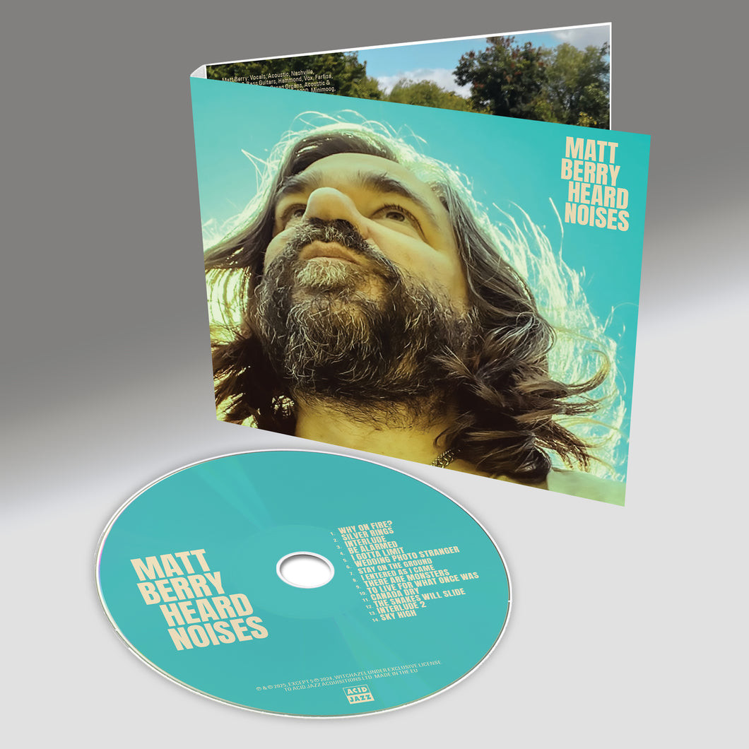 Matt Berry - Heard Noises