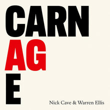 Load image into Gallery viewer, Nick Cave

