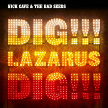 Load image into Gallery viewer, Nick Cave
