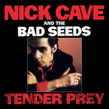 Load image into Gallery viewer, Nick Cave
