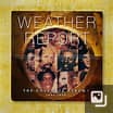 Weather Report - The Columbia Albums 1971-1975