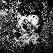 Moss - Horrible NIght