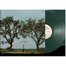 Load image into Gallery viewer, Dylan Gossett - Ramblin'
