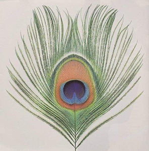 XTC - Apple Venus 1