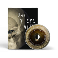 Load image into Gallery viewer, David Sylvian - The Distance Between The Killer And The Killing
