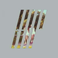 Load image into Gallery viewer, Steven Wilson - 4 1/2

