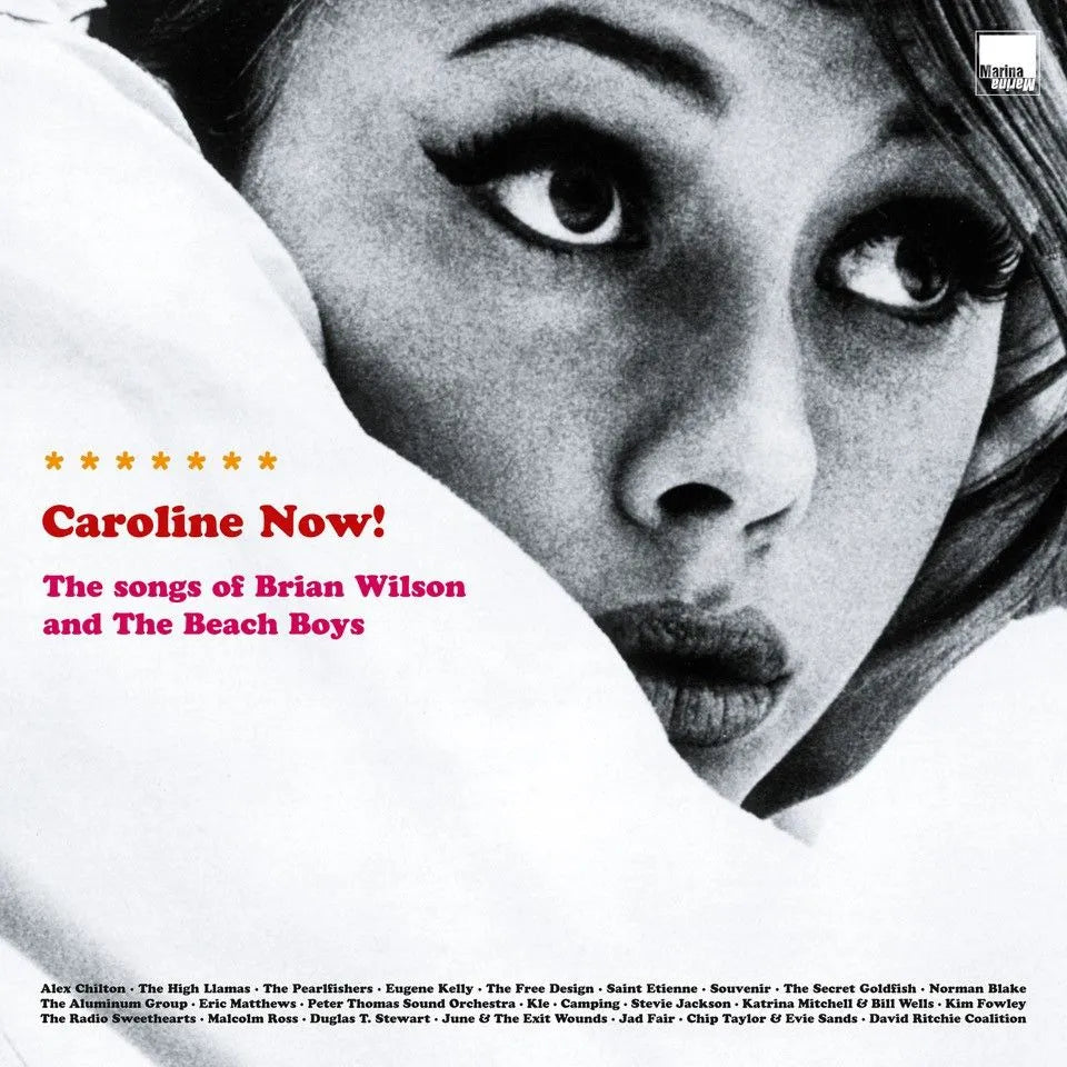 Various Artists - Caroline Now ! The Songs Of Brian Wilson And The Beach Boys