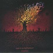 God Is An Astronaut - Embers