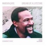 Marvin Gaye - Dream Of A Lifetime