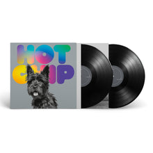 Load image into Gallery viewer, Hot Chip - A Long Way From Kansas
